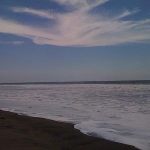 Meet your Posher, Dagmar